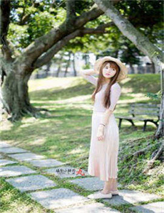 半田君传说